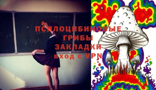 трава Армянск