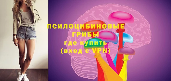 гашик Каменногорск