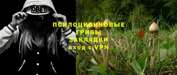 ешки Арсеньев