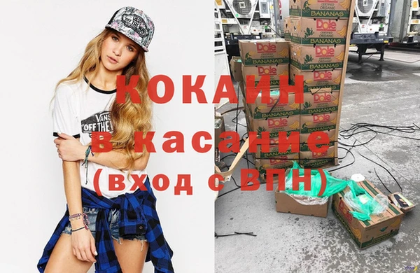 ешки Арсеньев