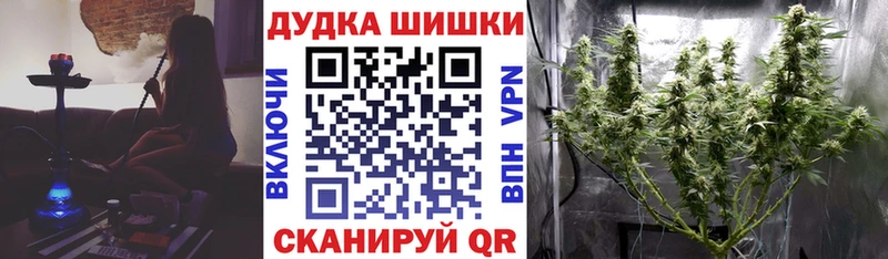 omg зеркало  Лысково  Конопля сатива 